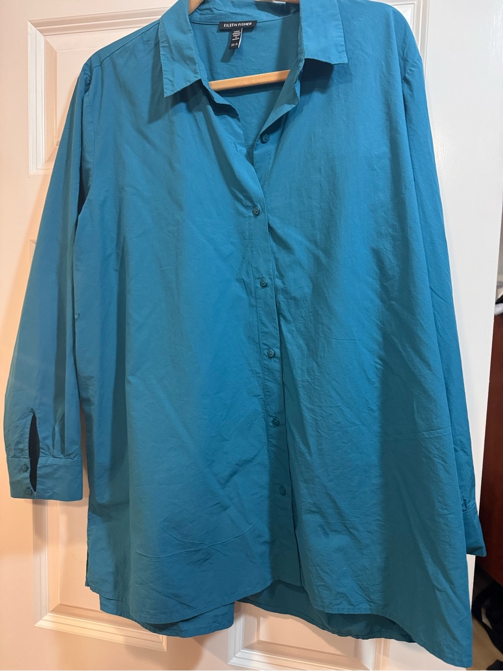 Eileen Fisher Teal Long-Sleeve Button-Down Shirt